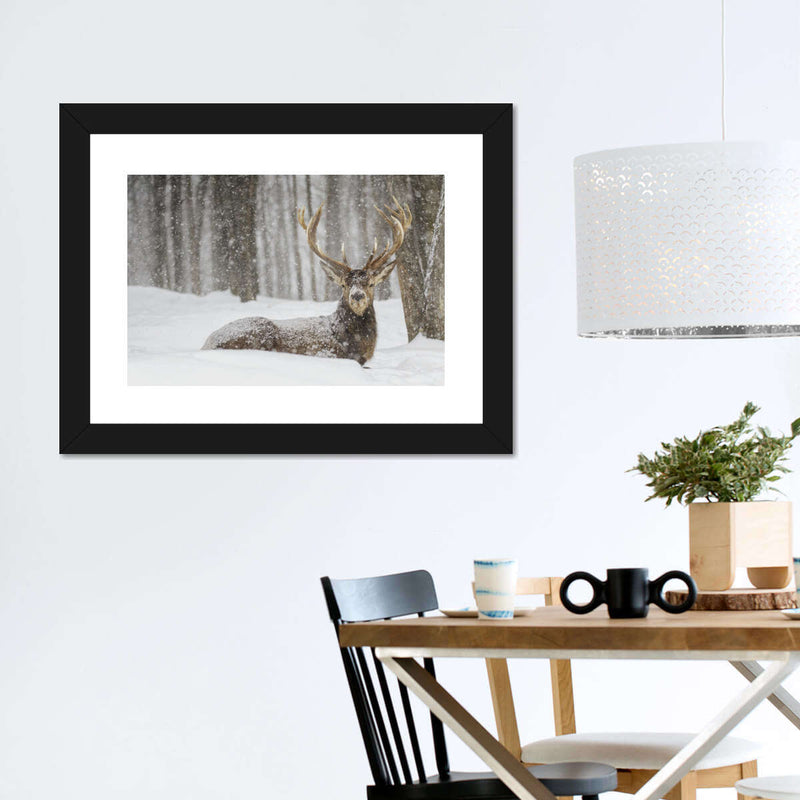 Snow Covered Elk Wall Art