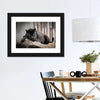 Lounging Black Panther Wall Art