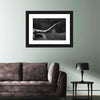 Texas Longhorn Cattle Wall Art