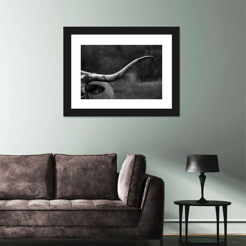 Texas Longhorn Cattle Wall Art