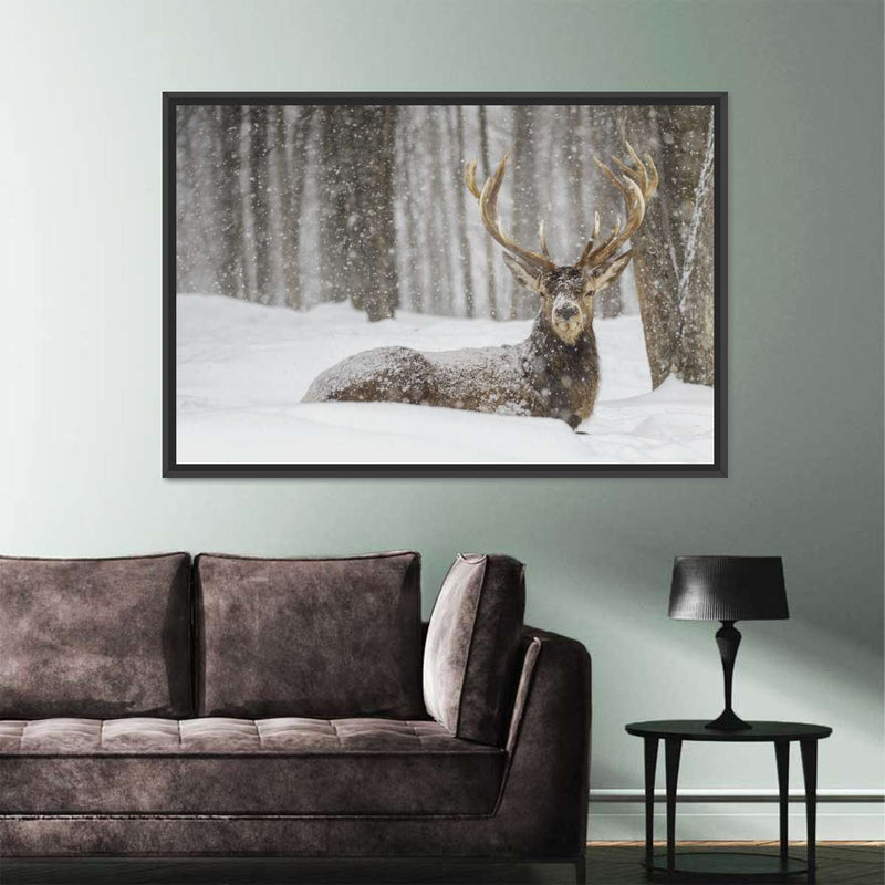 Snow Covered Elk Wall Art