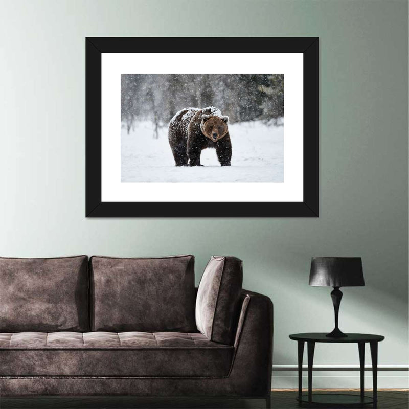 Winter Grizzly Bear Wall Art