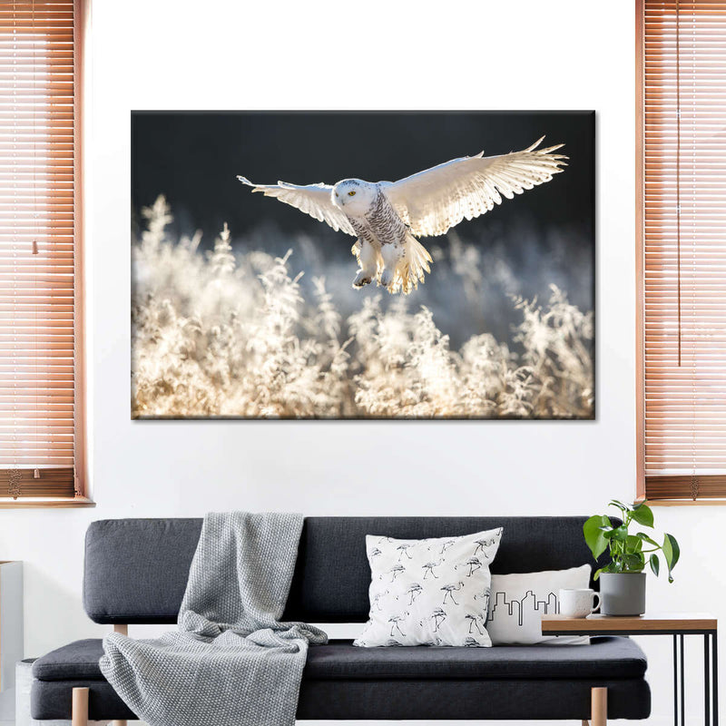 Snowy Owl Hunt Wall Art