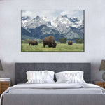 Grazing Teton Bison Wall Art