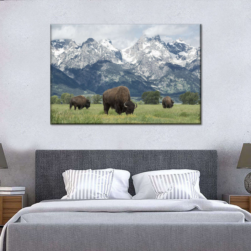Grazing Teton Bison Wall Art