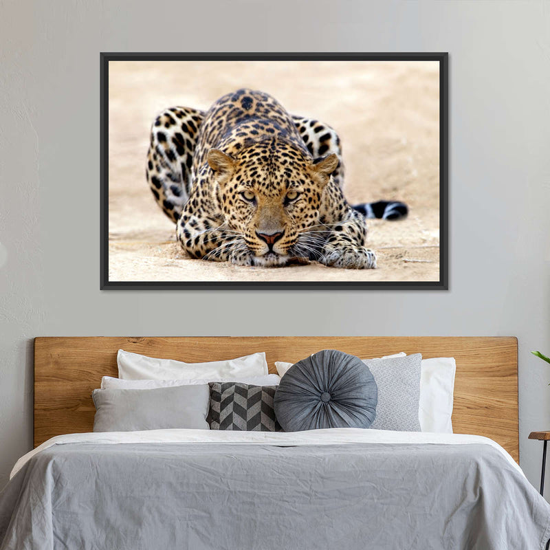 Watchful Jaguar Wall Art
