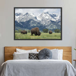 Grazing Teton Bison Wall Art