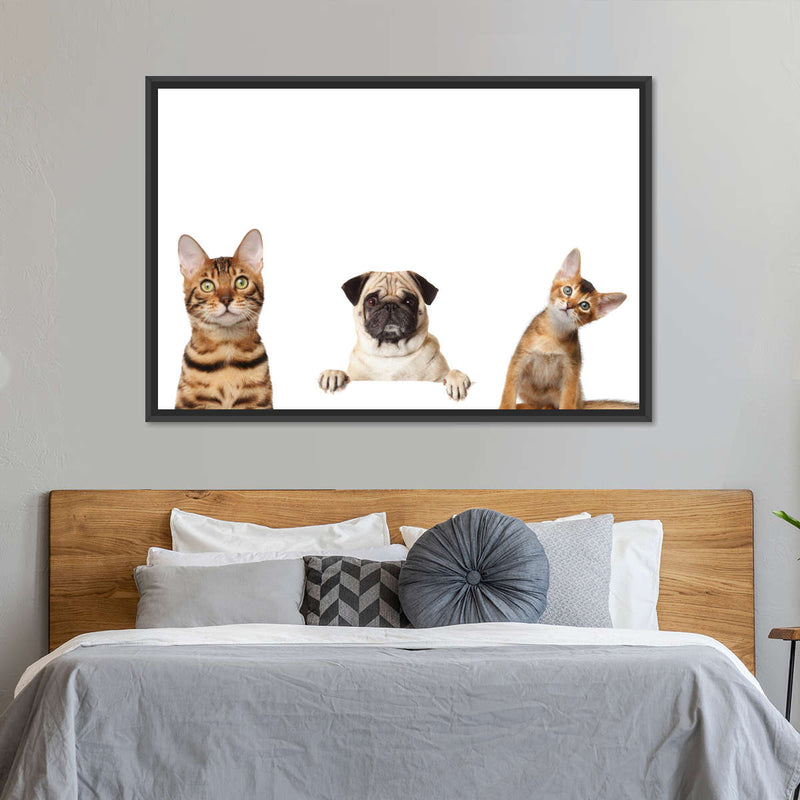 Pug And Cats Wall Art