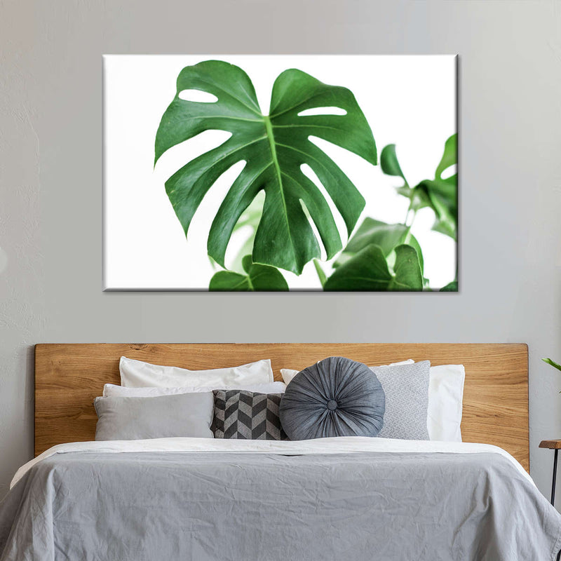 Monstera Leaf Wall Art