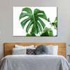 Monstera Leaf Wall Art