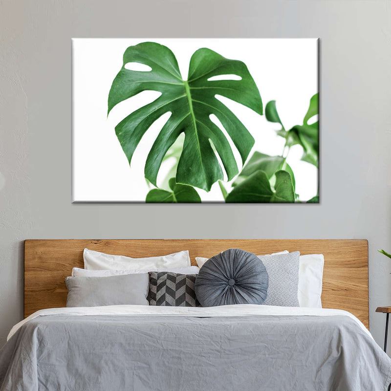 Monstera Leaf Wall Art