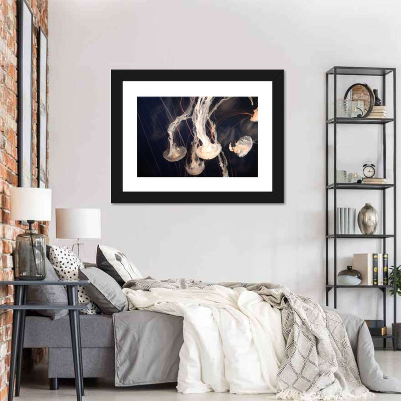 Light Of Jellyfish Wall Art