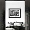 Monochrome Angel Oak Tree Wall Art