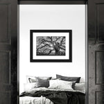 Monochrome Angel Oak Tree Wall Art