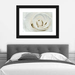 White Rose Close Up Wall Art