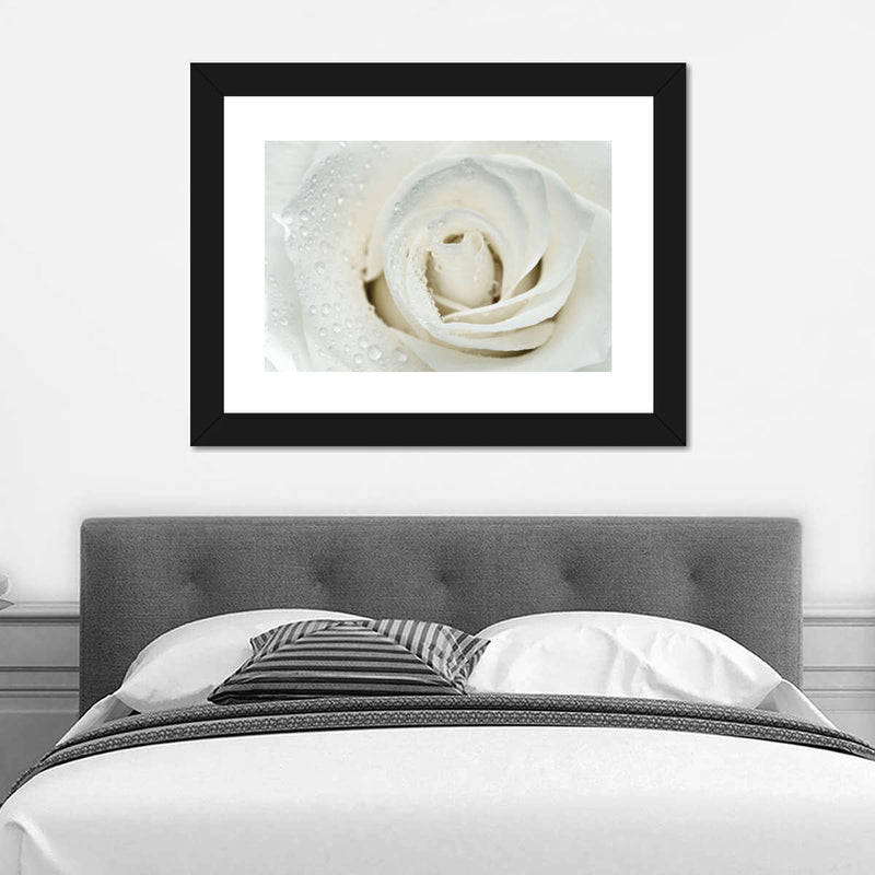 White Rose Close Up Wall Art