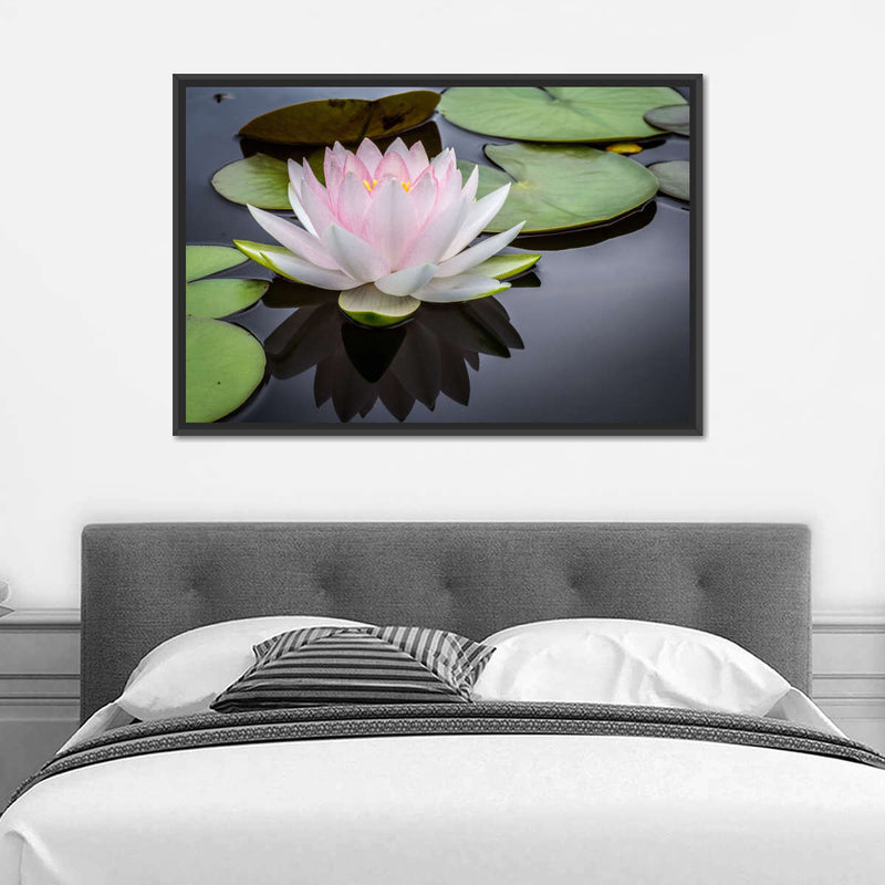Pinkish White Lotus Wall Art