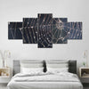 Spider Web Wall Art