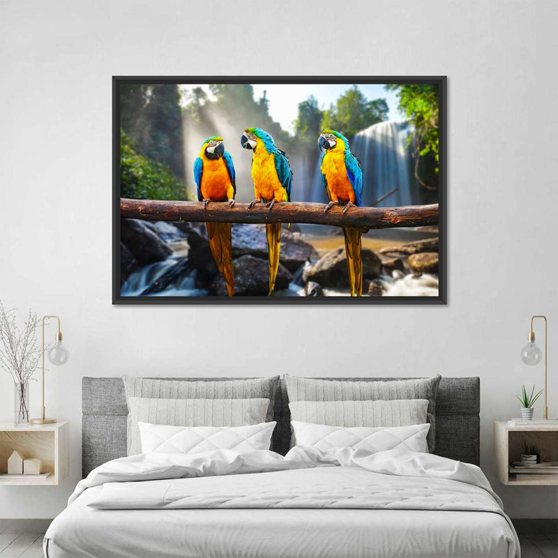 Macaw Friends Wall Art
