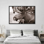 Moose Head Wall Art