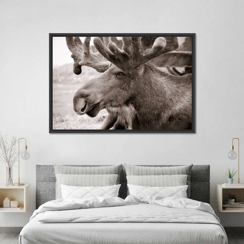 Moose Head Wall Art