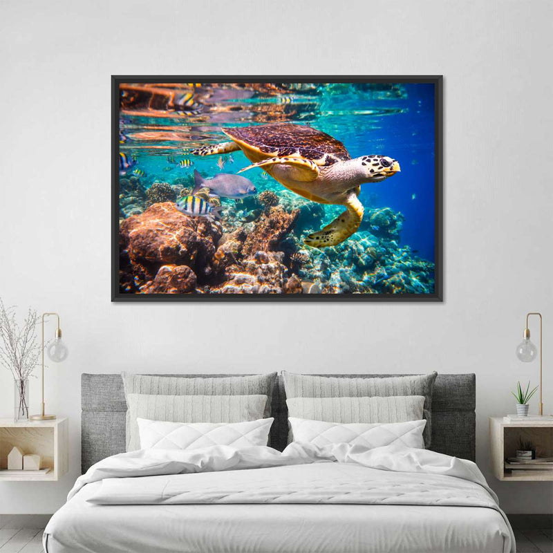 Vivid Sea Life Wall Art