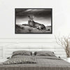 Lioness Wall Art