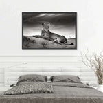 Lioness Wall Art