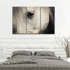 White Horse Eye Wall Art