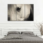 White Horse Eye Wall Art