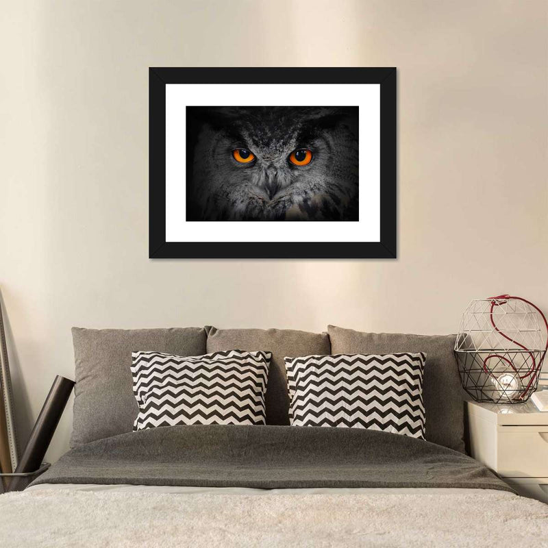 Mesmerizing Gray Owl Wall Art