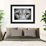 Lion Eyes Pop Wall Art