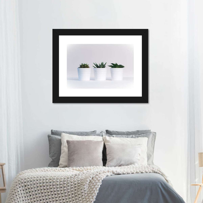 Three Succulents Wall Art