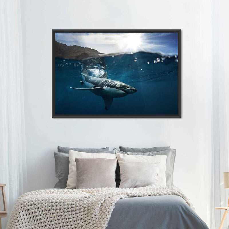 Shark Sunshine Wall Art