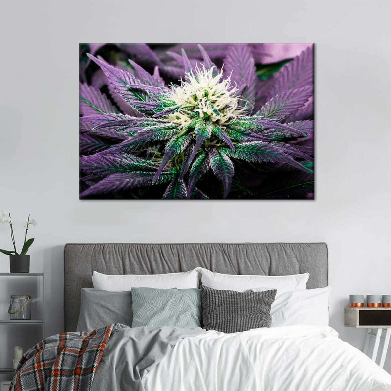 Rare Cannabis Plant Wall Art