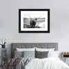 Highland Bull Wall Art