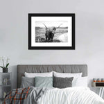 Highland Bull Wall Art