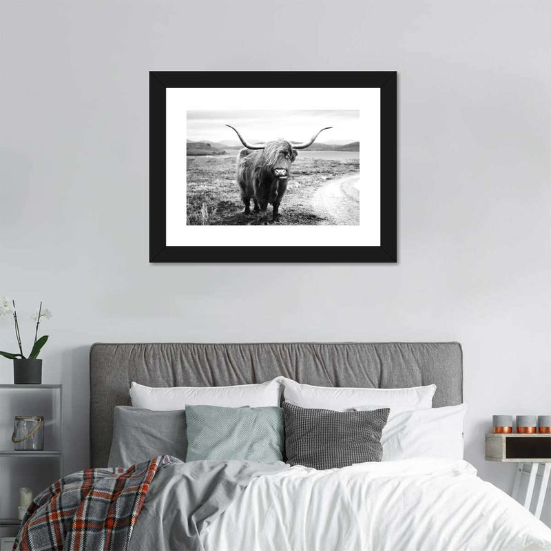 Highland Bull Wall Art