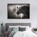 Stalking Lioness Wall Art