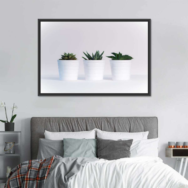Three Succulents Wall Art