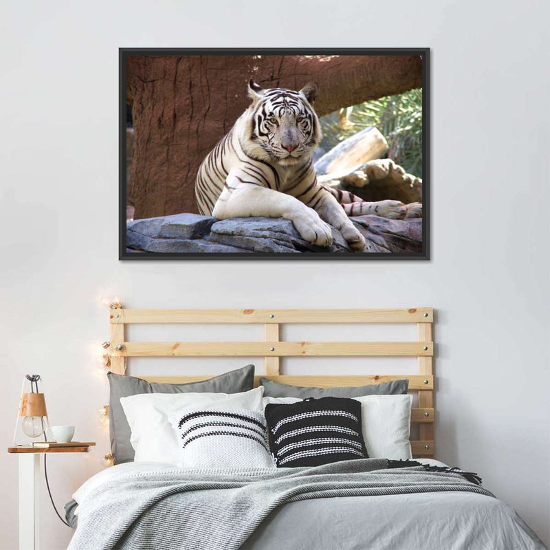 Resting White Tiger Wall Art