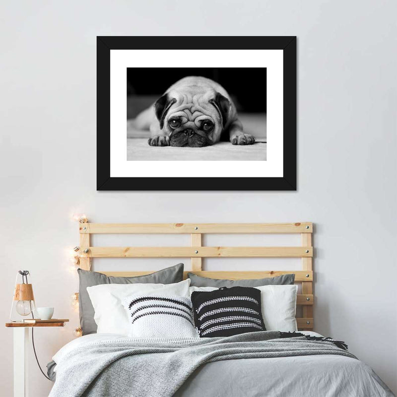 Sad Pug Wall Art