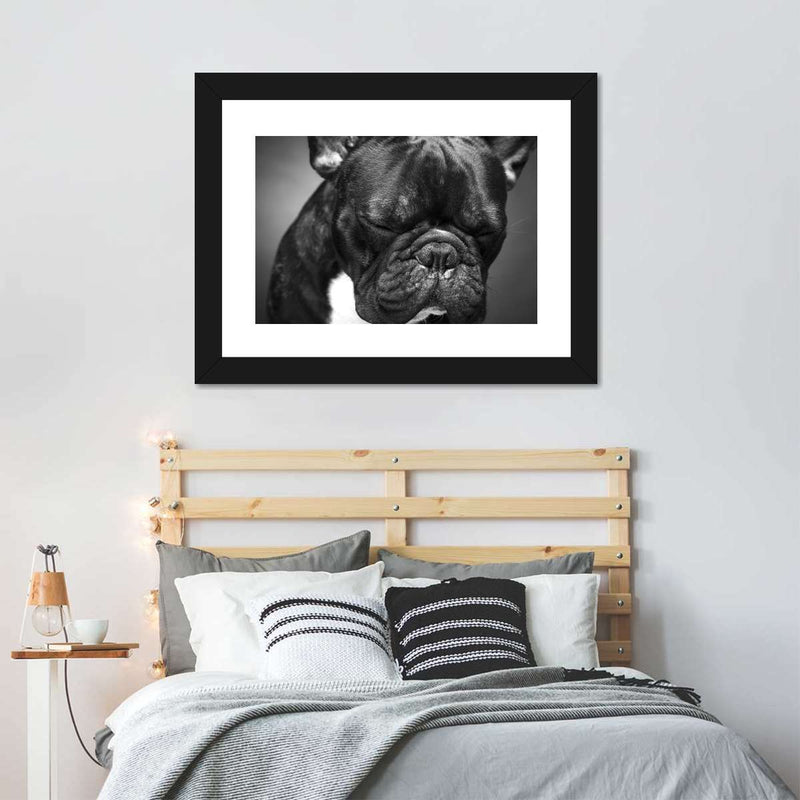 Melancholic French Bulldog Wall Art