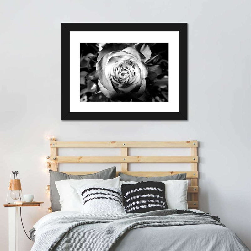 Monochromatic Rose Wall Art