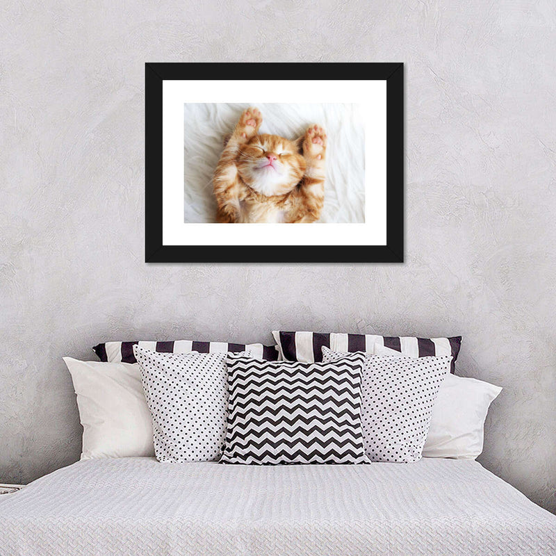 Sleepy Kitty Wall Art