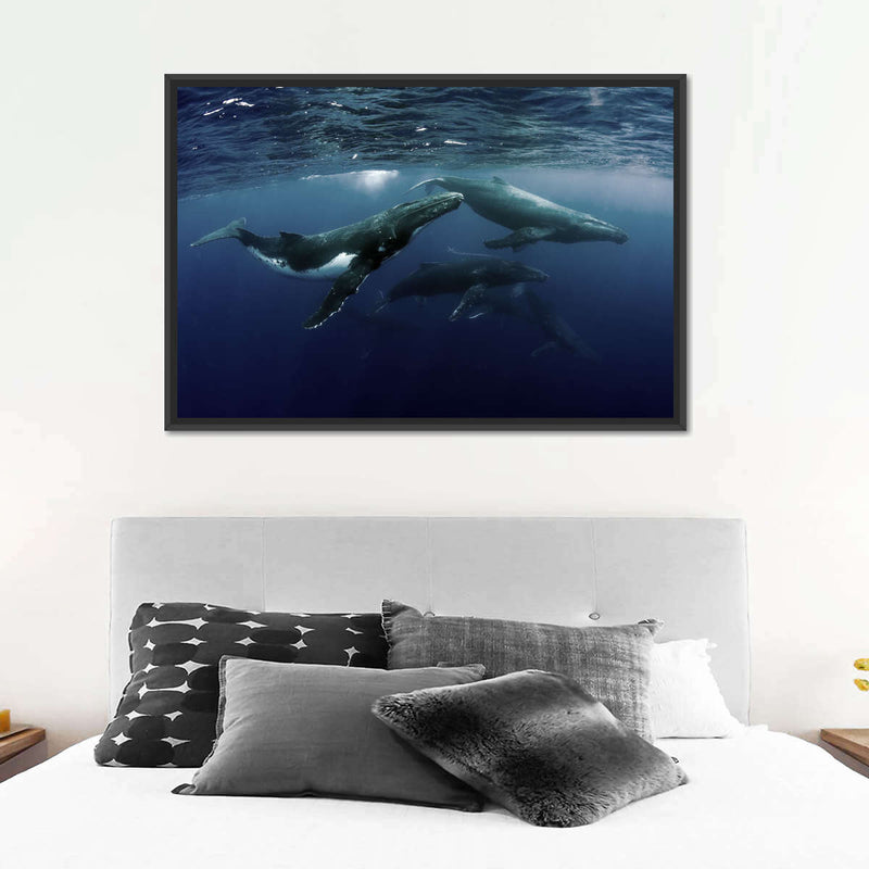 Humpback Whales Wall Art