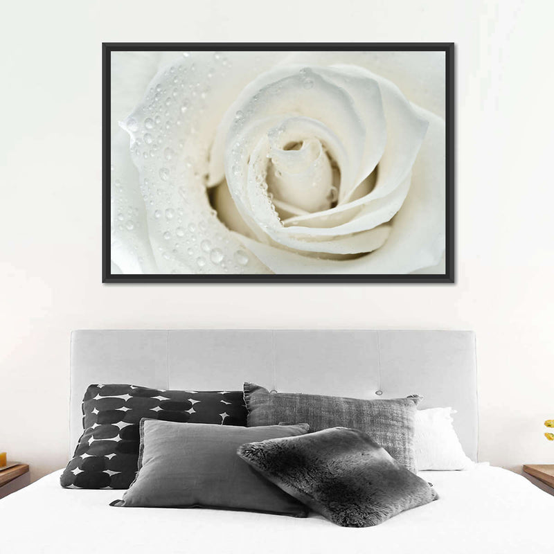 White Rose Close Up Wall Art