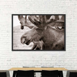 Moose Head Wall Art