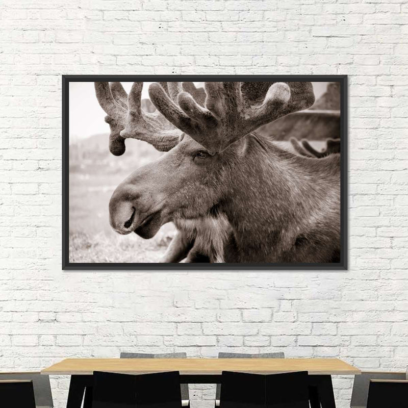Moose Head Wall Art