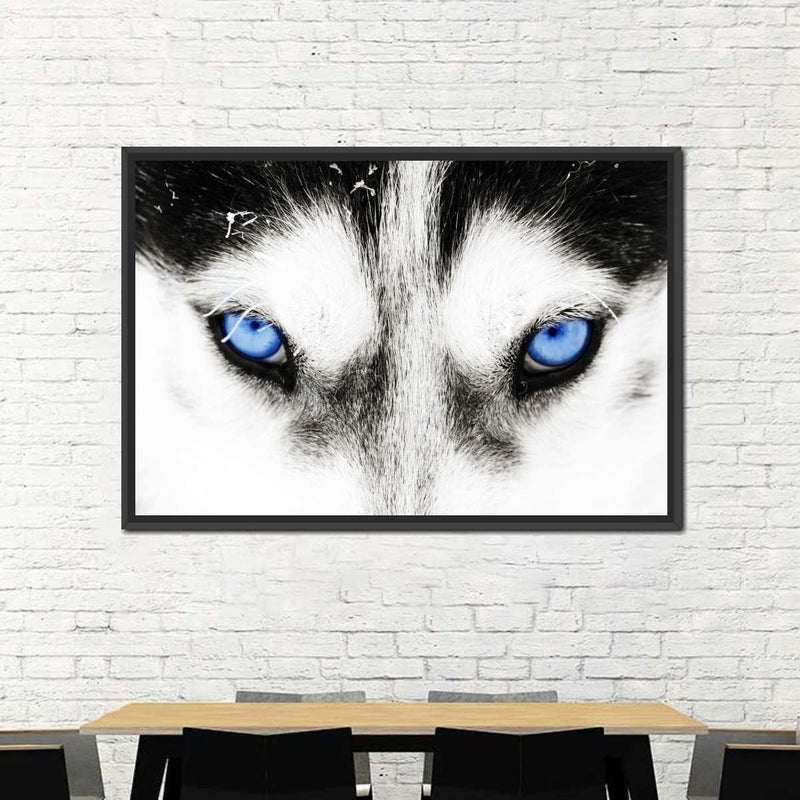 Husky's Eyes Wall Art